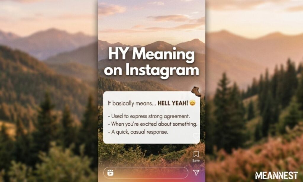 HY Meaning on Instagram