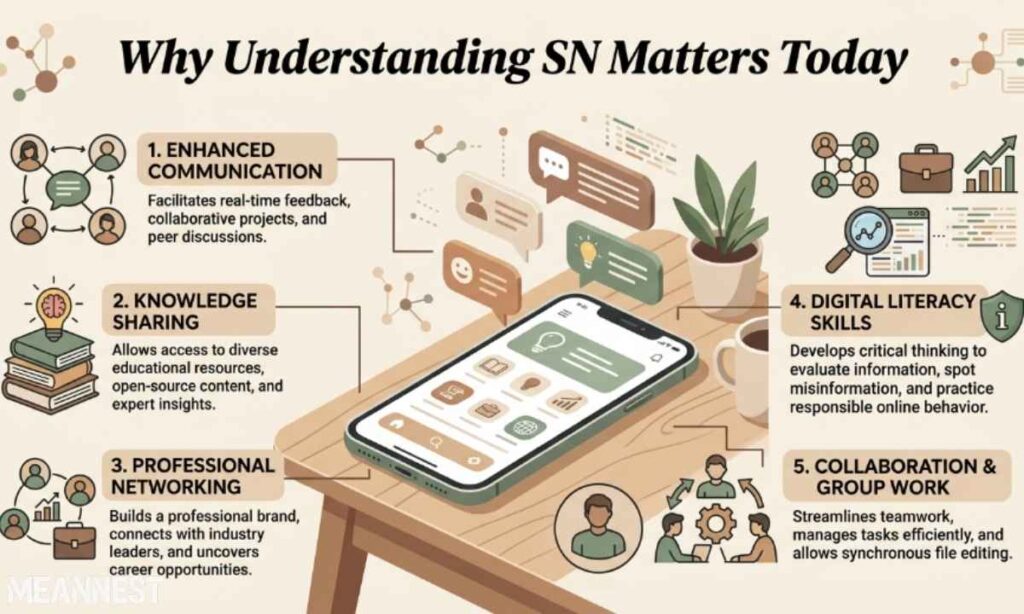 Why Understanding SN Matters Today