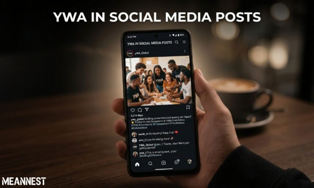 YWA in Social Media Posts
